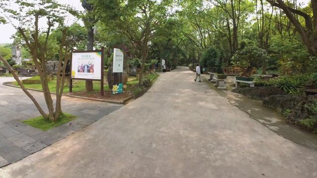 🇨🇳 Сад бонсай возле водопада Хуангошу. Гуйчжоу | Кит? смотреть онлайн