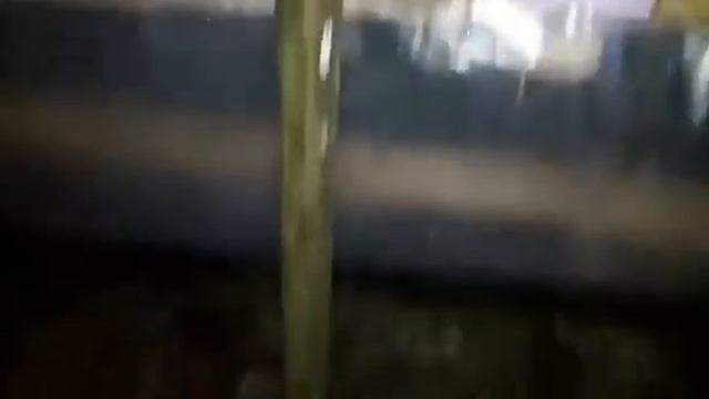 WTF! Случай на Службе. Жесть / The Invasion Of Mice.