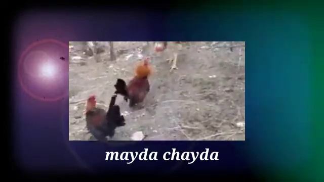 Приколи точики #6 2021 ду ба як😂 ЛУЧШИЕ ТАДЖИКСКИЕ ПРИКОЛЫ 2021 смотреть онлайн