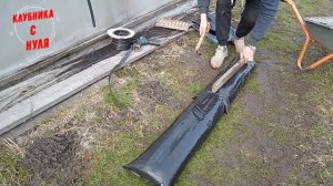 Выращивание клубники в малообъемке!!! С чего начинали..