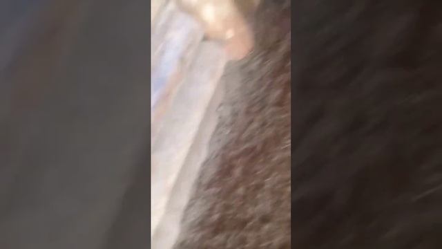 10 апреля 2023 г. смотреть онлайн