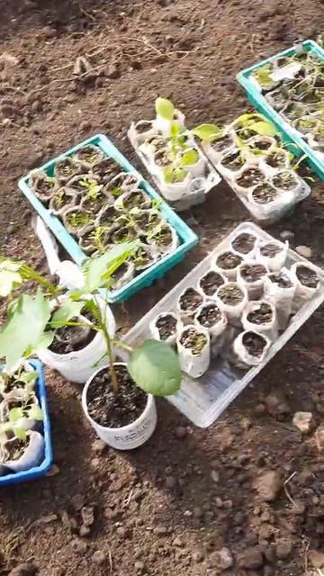 весенние работы в огороде смотреть онлайн