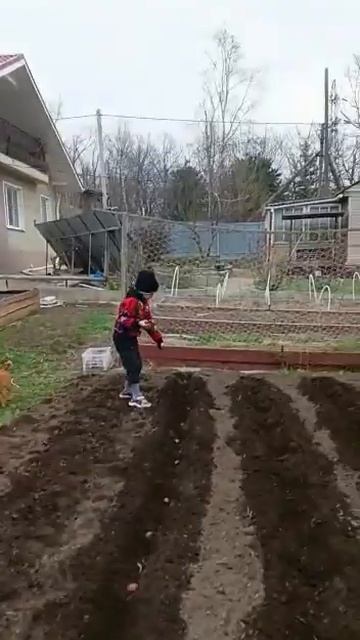 Макс садит картошку, осенью будет урожай смотреть онлайн