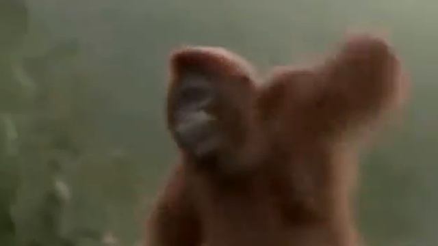Самое смешное видео в мире! Попробуй не засмейся. Кто засмеется тот псих!§§§§§ смотреть онлайн