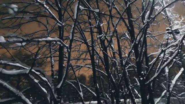 VID 20230306 215251 Паж Купидон 1879 (Михай Эминеску)...Павел Васильев Лахтинский