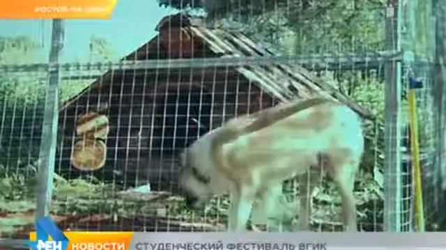 Студенческий фестиваль ВГИК