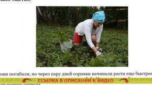 ИНСТРУКЦИЯ ПО ПРИМЕНЕНИЮ СРЕДСТВА ГЕРБИЦИД 👌 СРЕДСТ?