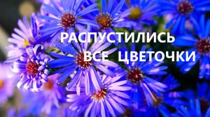 Сумка с букетом.(май 2025г)