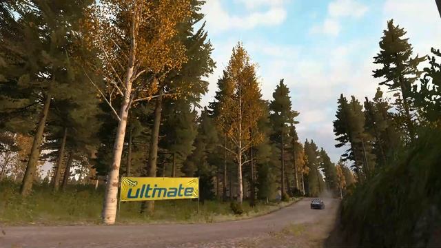 Dirt Rally | Нарезочка из Dirt Rally