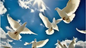 Голуби в небе.