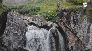 Наша Сибирь 4К: Озеро Золотое