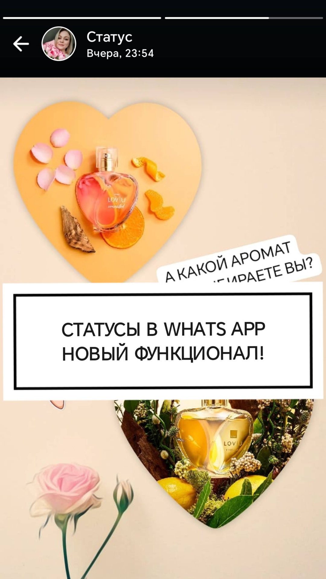 Новые фишки статусов WhatsApp смотреть онлайн