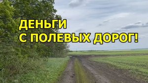 Полевые дороги помогают заработать! Прошелся по ним и не остался без находок