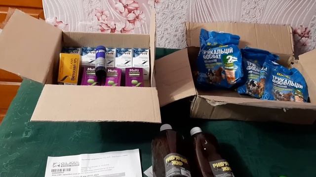 Засыпало снегом  Посылка от O L KAR  Месяц поросятам