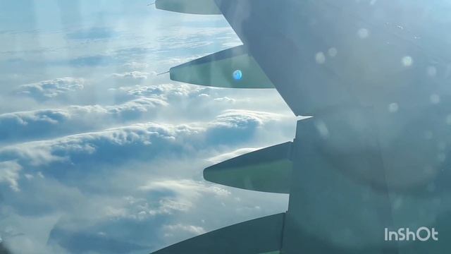 Airbus A320 а/к S7 Airlines Иркутск - Уфа