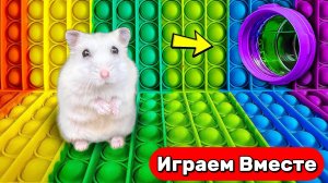 Хомяк в лабиринте из ПОП ИТ 🐹 Смешные препятствия - новые приключения Умного Хомяка 🐹