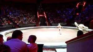 Большой цирк  ИДОЛ 2017  Русские казаки  Падение всадника с лошади во время исполнения номера