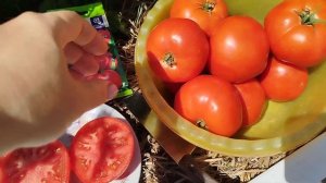 обзор томата,, сердцеедка,, 🍅