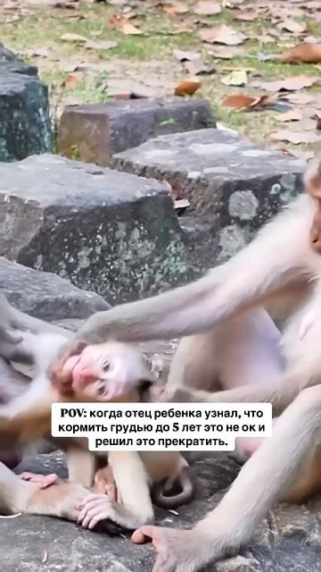 Мамочки, до скольки лет кормили или будете кормить? #гр смотреть онлайн