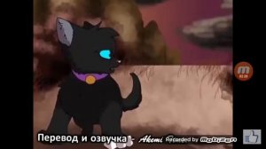 Коты воители Бич:Путь К Власти эпизод 3