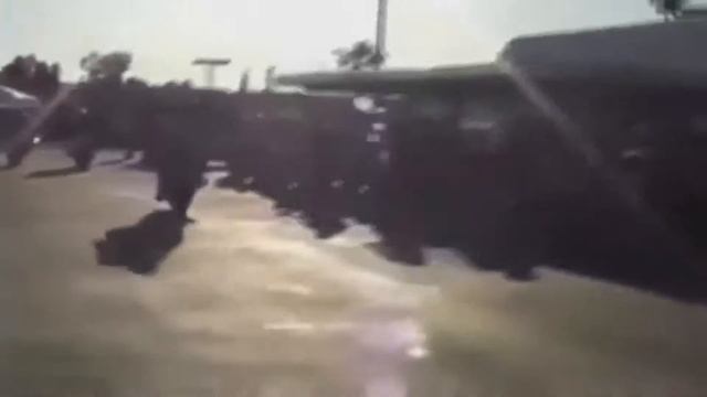 Подборка приколов смотреть онлайн
