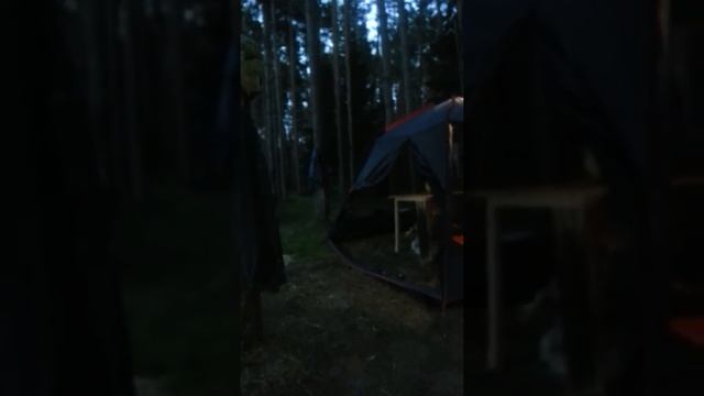 Вонючка исполняет! смотреть онлайн