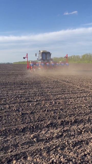 Кукурузная посевная компания 🌽🏆 #посевная #агроном # смотреть онлайн