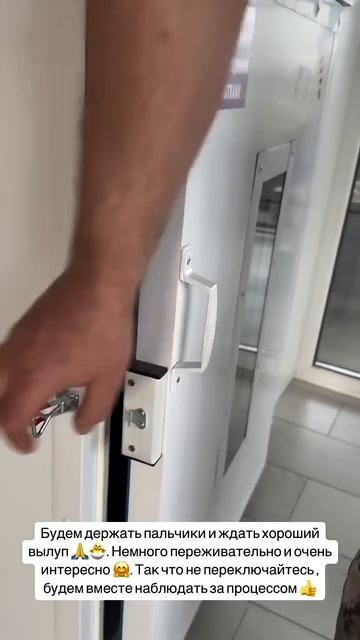 Ой девочки удачи нам родные #garden #gardenlife #огород #дача #sho смотреть онлайн