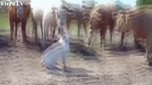 ЛУЧШИЕ ПРИКОЛЫ [Выпуск #9] смотреть онлайн