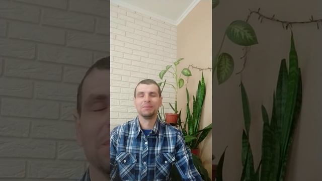 Кн.Дій 4розділ. Перша проповідь ап.Петра: "Христос - НАРІЖНИЙ КАМЕНЬ" смотреть онлайн