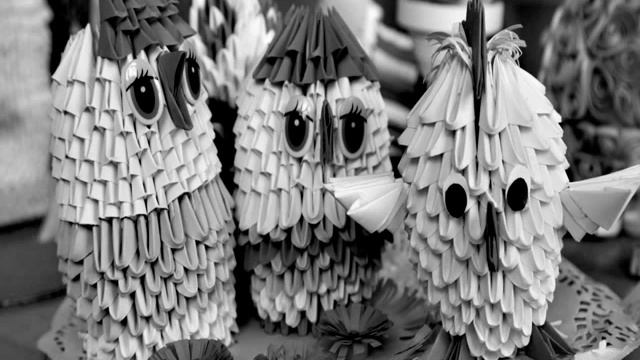 Калуга (сюжет 4)