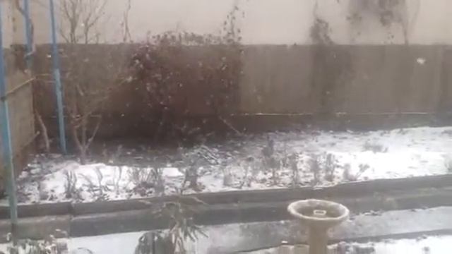 Утром выпал снежок