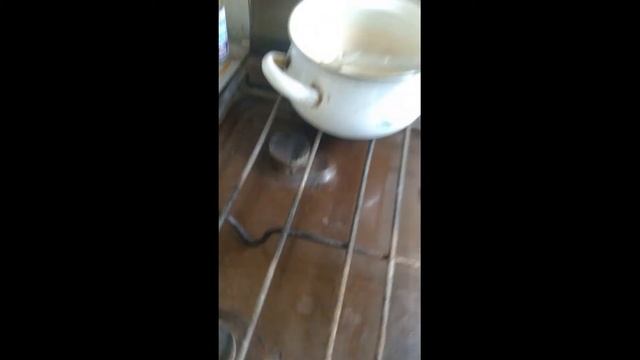 Настя жри гречку! смотреть онлайн