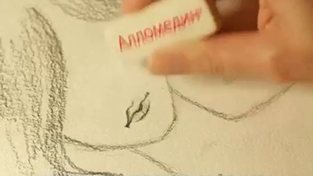 Strongbrand для Алломедин