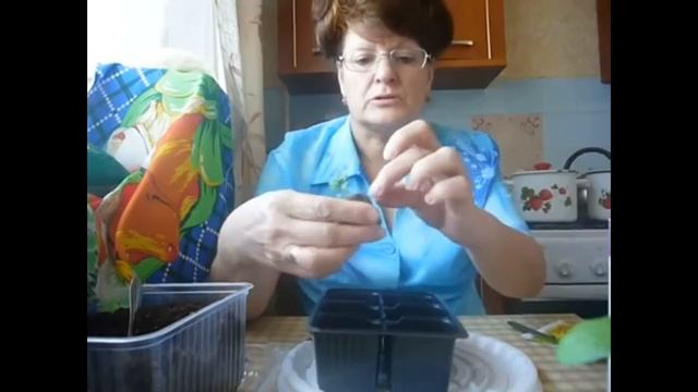 Пересадка земляники. ВПЛ. смотреть онлайн