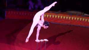 Circus. The equilibrist. Цирк. Эквилибристка.