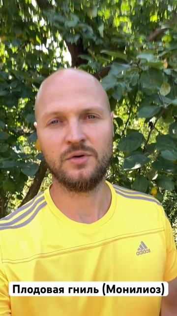 Плодовая гниль (Монилиоз) Как бороться? #онсад #садогор смотреть онлайн