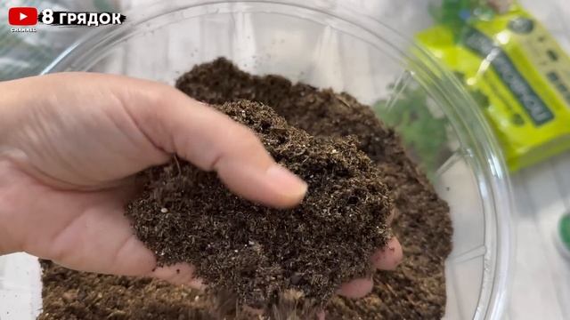 Лунный посевной календапь на 2025 год. Благоприятные дн? смотреть онлайн