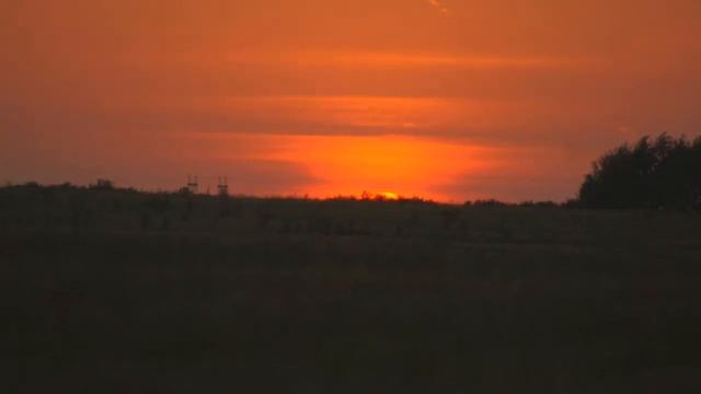 История одного дерева смотреть онлайн