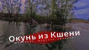 Май 2025. Рыбалка в области. Окунь из родного поселка... Путешествие по родной гавани.