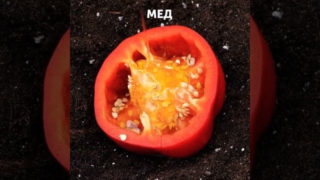 Неожиданные хитрости для садовода #shorts #дача #огород #с смотреть онлайн