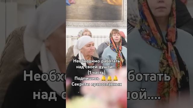 Семя и плоды. Протоиерей Сергий Кандыбин смотреть онлайн