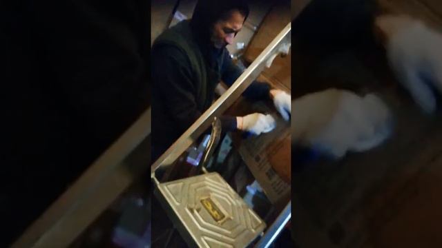 Коля волк рвёт мишцу смотреть онлайн