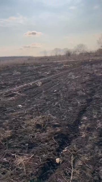 Посадка черной смородины. 500 корней за 1 день. Сажаем ме смотреть онлайн
