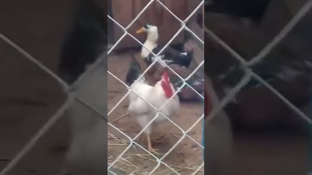 3 октября 2021 г. смотреть онлайн