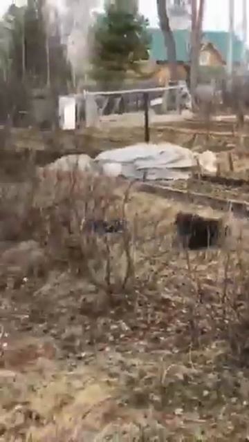 Бешеный форсаж шпицев по огороду смотреть онлайн