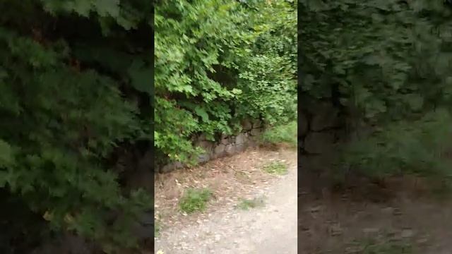 Ливадийский дворец 16