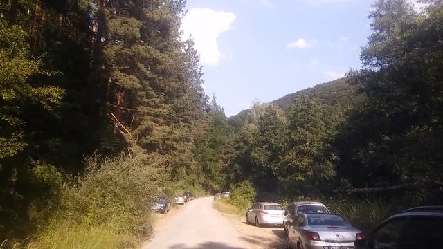 Железница, ПАРК ВИТОША