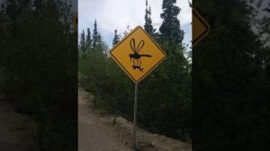 смешные дорожные знаки 7