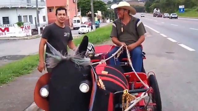 Мото-Лошадь ПРИКОЛ ツ